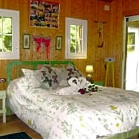 Finca Cabana Rural Apartment Sauzal